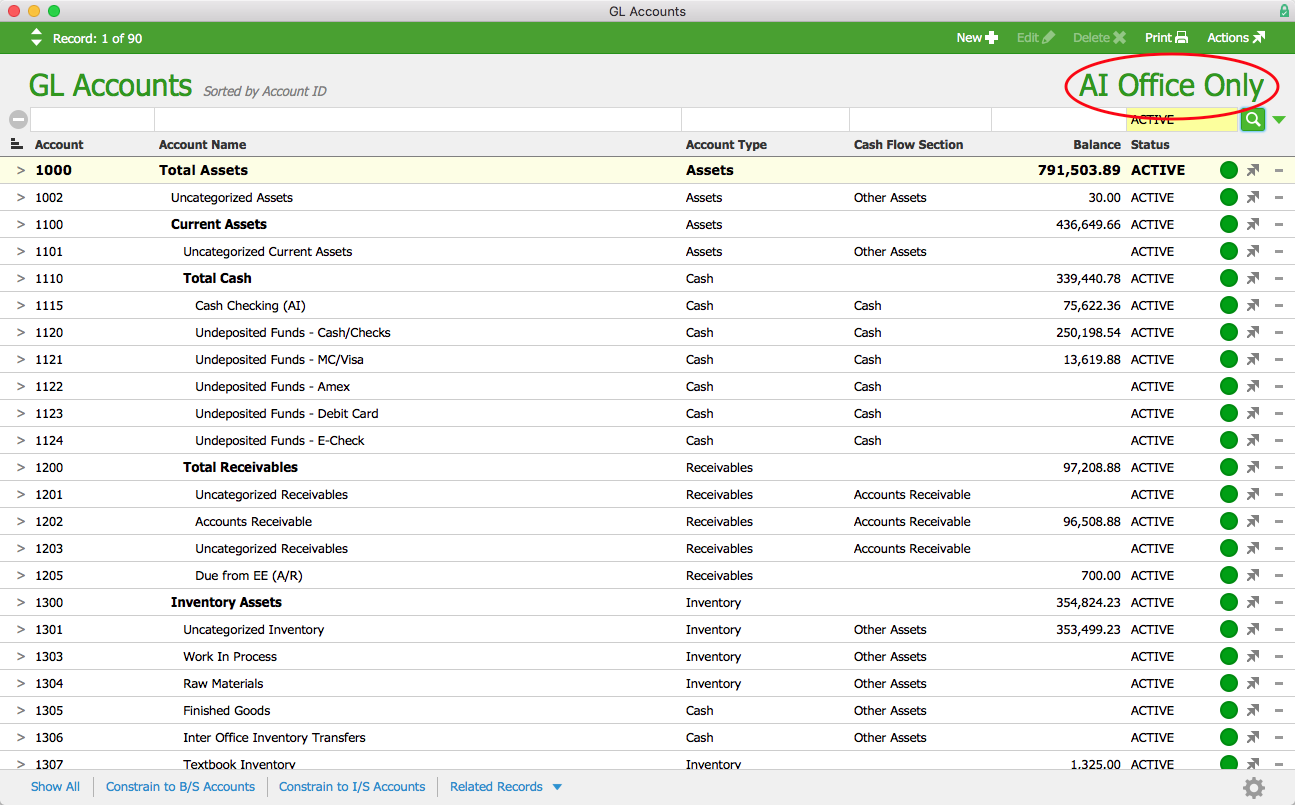 aACME Inc GL Accounts